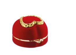 Curabitur cursus dignis